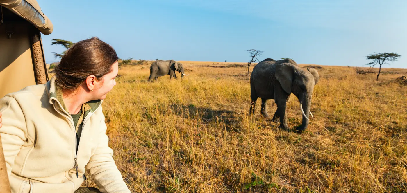 Safari-vehicle-family afrika game drive.