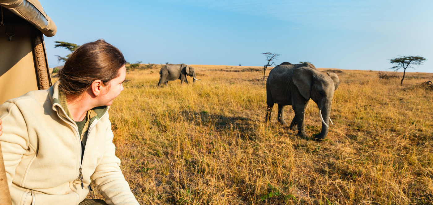 safari vehicle family africa game drive